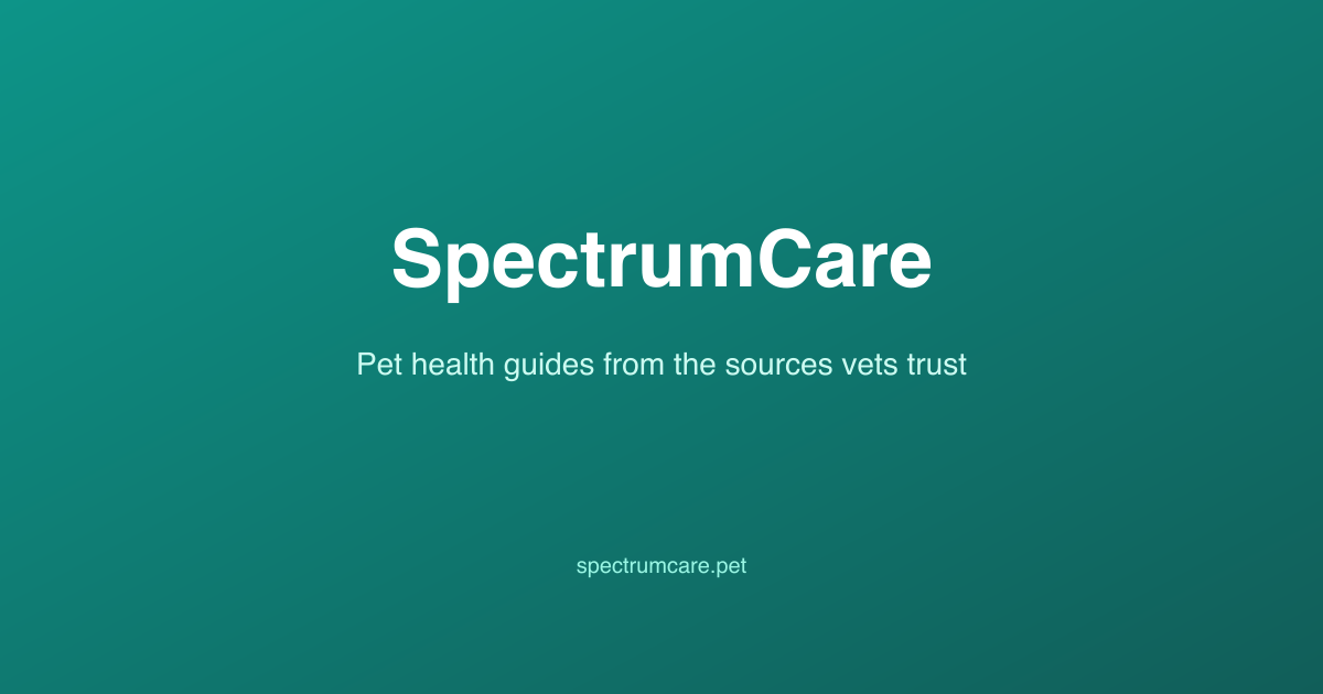 Diet for Hyperthyroid Cats:… | SpectrumCare